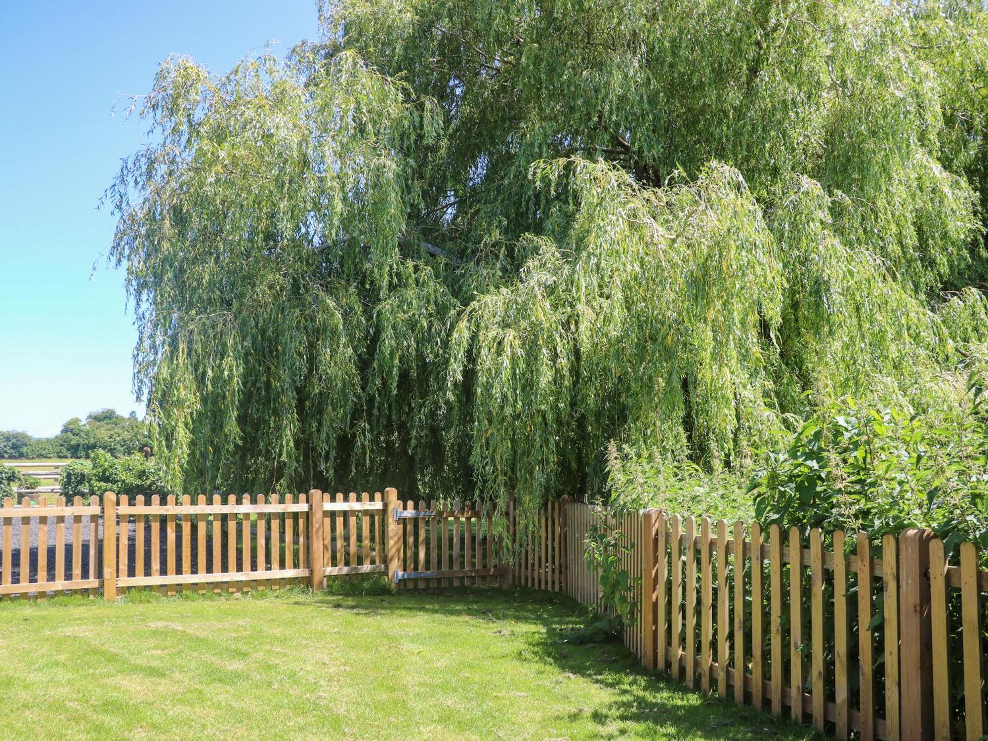 Willow Pod Ерандел Екстер'єр фото